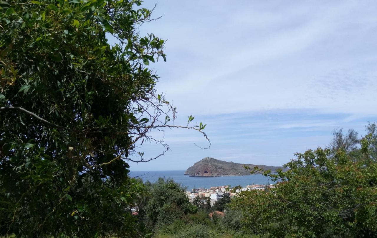Thea Apartment Agia Marina  Exterior photo